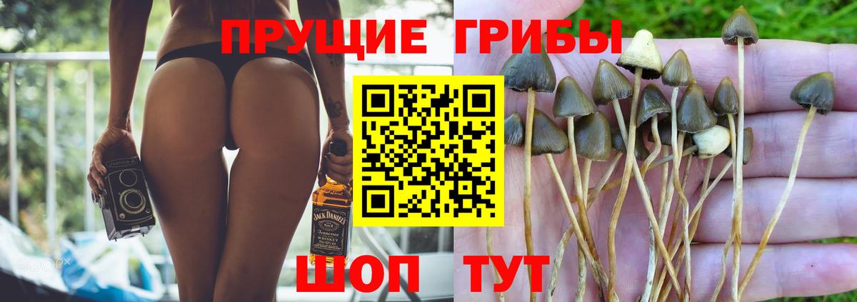Черемхово  Псилоцибиновые грибы ЛСД  Вход с VPN 